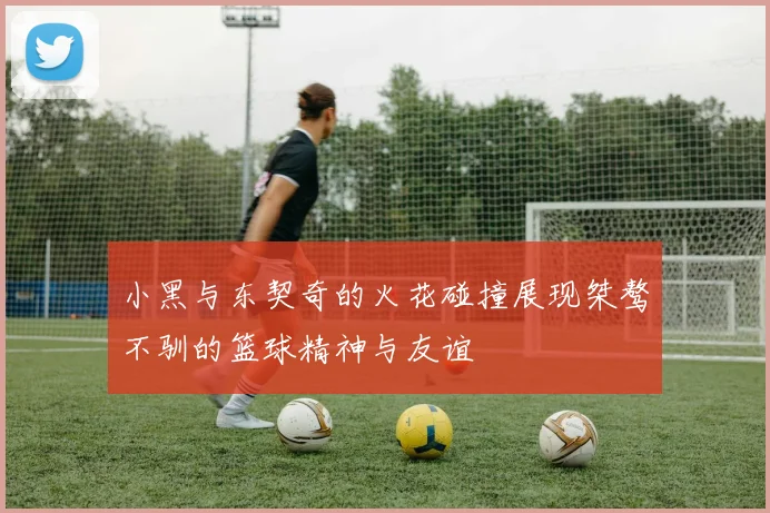 小黑与东契奇的火花碰撞展现桀骜不驯的篮球精神与友谊