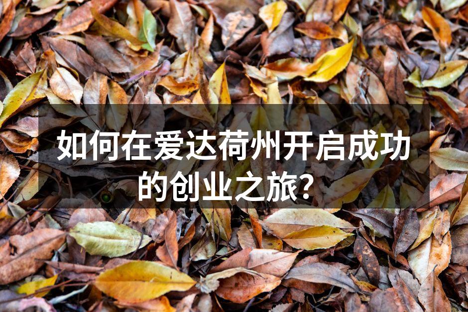 爱达荷州的商业环境