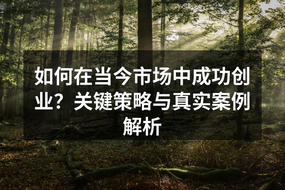 创业者分享成功经验与策略